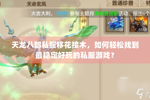 天龙八部私服移花接木，如何轻松找到最稳定好玩的私服游戏？