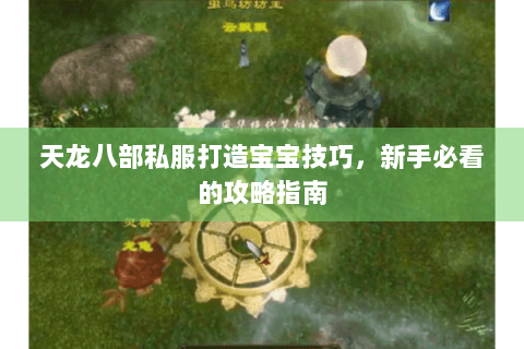 天龙八部私服打造宝宝技巧,新手必看的攻略指南 天龙八部私服打造宝宝技巧,新手必看的攻略指南