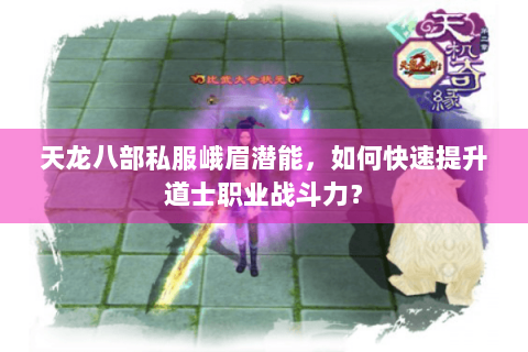 天龙八部私服峨眉潜能，如何快速提升道士职业战斗力？