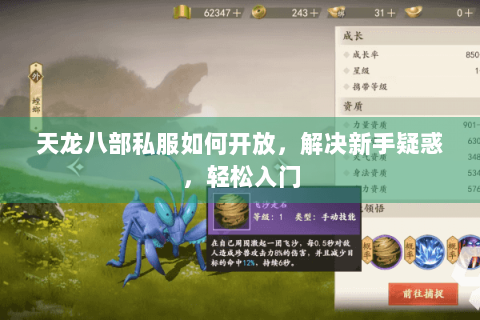 天龙八部私服如何开放，解决新手疑惑，轻松入门