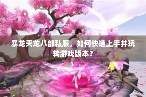 暴龙天龙八部私服，如何快速上手并玩转游戏版本？