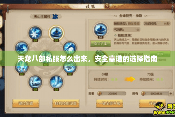 天龙八部私服怎么出来,安全靠谱的选择指南 天龙八部私服怎么出来,安全靠谱的选择指南