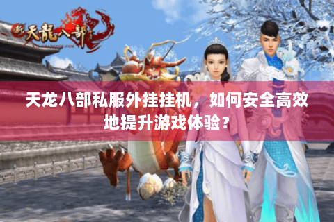 天龙八部私服外挂挂机，如何安全高效地提升游戏体验？