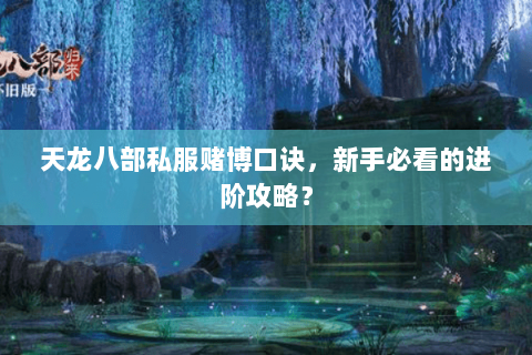 天龙八部私服赌博口诀，新手必看的进阶攻略？