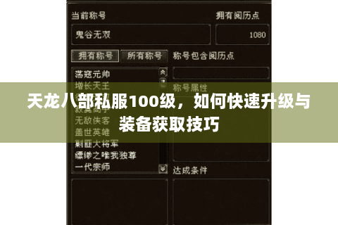天龙八部私服100级，如何快速升级与装备获取技巧