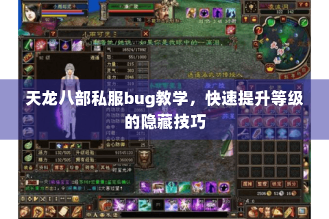 天龙八部私服bug教学，快速提升等级的隐藏技巧