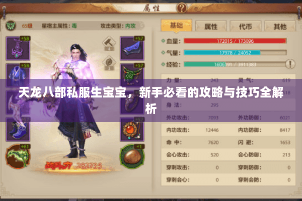 天龙八部私服生宝宝，新手必看的攻略与技巧全解析