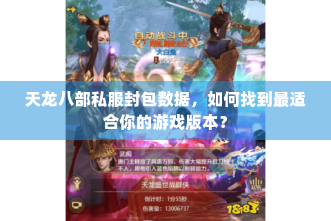 天龙八部私服封包数据，如何找到最适合你的游戏版本？