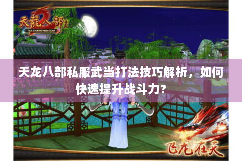 天龙八部私服武当打法技巧解析，如何快速提升战斗力？