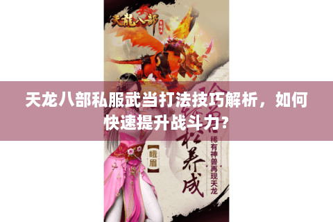 天龙八部私服武当打法技巧解析，如何快速提升战斗力？