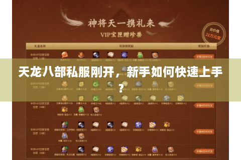 天龙八部私服刚开，新手如何快速上手？