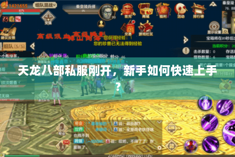 天龙八部私服刚开,新手如何快速上手? 天龙八部私服刚开,新手如何快速上手?