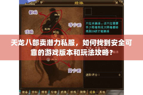 天龙八部卖潜力私服，如何找到安全可靠的游戏版本和玩法攻略？