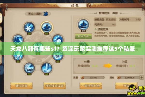 天龙八部有哪些sf？资深玩家实测推荐这5个私服