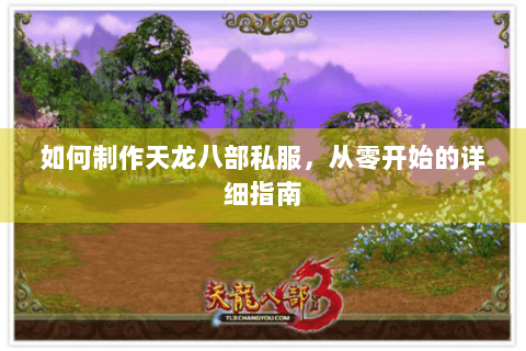如何制作天龙八部私服,从零开始的详细指南 如何制作天龙八部私服,从零开始的详细指南