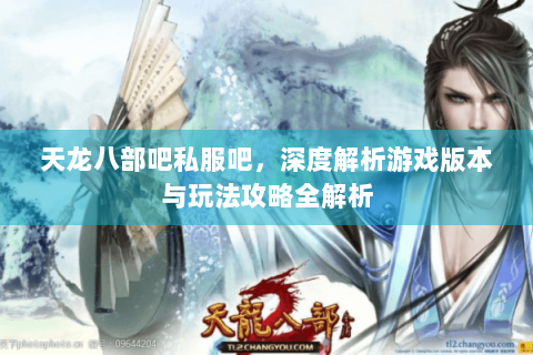 天龙八部吧私服吧，深度解析游戏版本与玩法攻略全解析