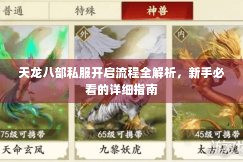 天龙八部私服开启流程全解析,新手必看的详细指南 天龙八部私服开启流程全解析,新手必看的详细指南