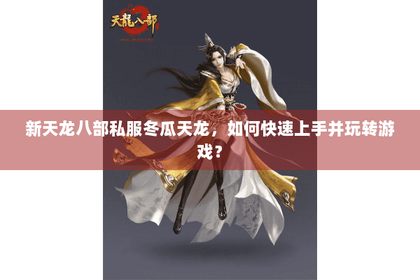 新天龙八部私服冬瓜天龙，如何快速上手并玩转游戏？