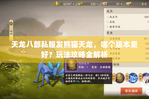 天龙八部私服发熊猫天龙，哪个版本更好？玩法攻略全解析