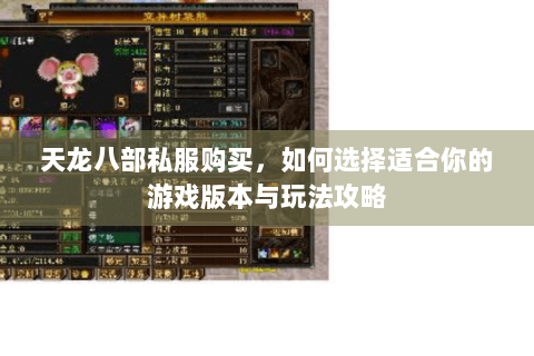 天龙八部私服购买，如何选择适合你的游戏版本与玩法攻略