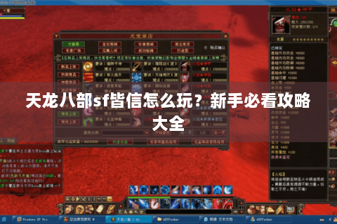 天龙八部sf皆信怎么玩？新手必看攻略大全