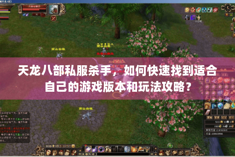 天龙八部私服杀手，如何快速找到适合自己的游戏版本和玩法攻略？