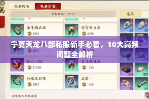 宁夏天龙八部私服新手必看，10大高频问题全解析