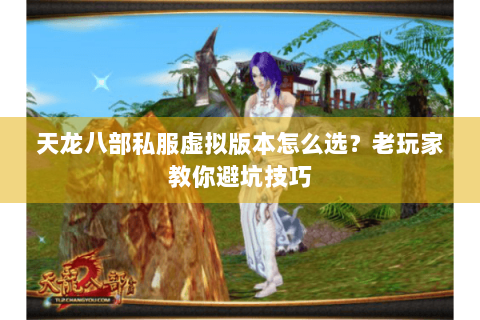天龙八部私服虚拟版本怎么选？老玩家教你避坑技巧