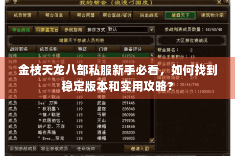 金枝天龙八部私服新手必看,如何找到稳定版本和实用攻略? 金枝天龙八部私服新手必看,如何找到稳定版本和实用攻略?