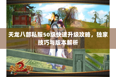 天龙八部私服50级快速升级攻略，独家技巧与版本解析