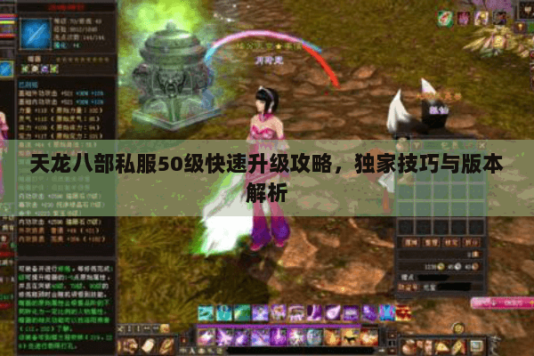 天龙八部私服50级快速升级攻略，独家技巧与版本解析