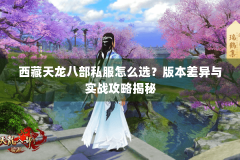 西藏天龙八部私服怎么选？版本差异与实战攻略揭秘