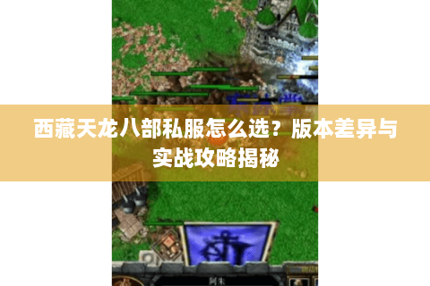 西藏天龙八部私服怎么选？版本差异与实战攻略揭秘