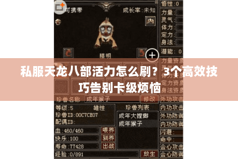 私服天龙八部活力怎么刷?3个高效技巧告别卡级烦恼 私服天龙八部活力怎么刷?3个高效技巧告别卡级烦恼