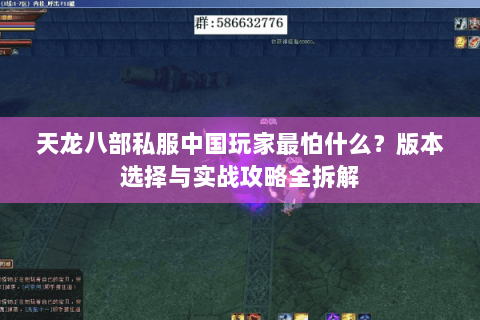 天龙八部私服中国玩家最怕什么？版本选择与实战攻略全拆解