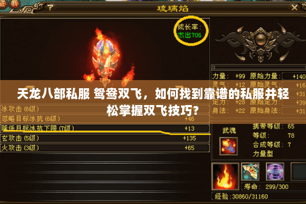 天龙八部私服 鸳鸯双飞，如何找到靠谱的私服并轻松掌握双飞技巧？