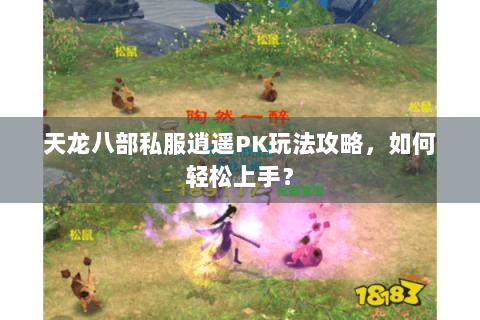 天龙八部私服逍遥PK玩法攻略，如何轻松上手？