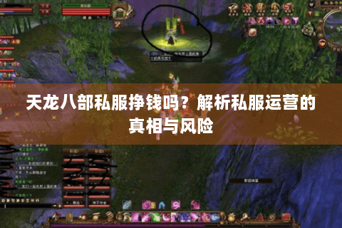 天龙八部私服挣钱吗？解析私服运营的真相与风险