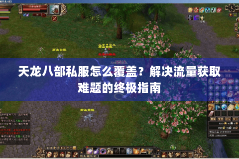 天龙八部私服怎么覆盖？解决流量获取难题的终极指南