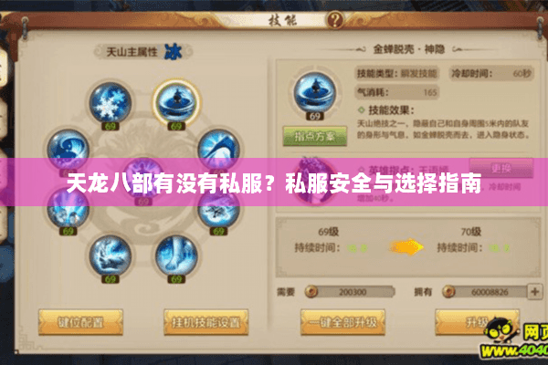 天龙八部有没有私服？私服安全与选择指南