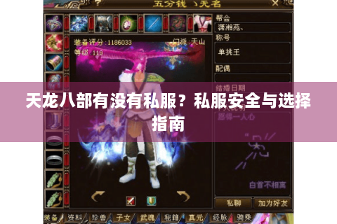 天龙八部有没有私服？私服安全与选择指南