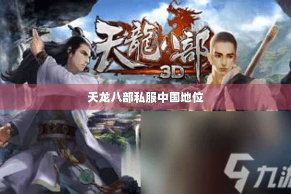 天龙八部私服中国地位 天龙八部私服中国地位
