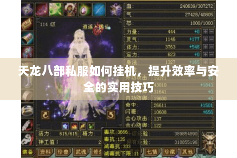 天龙八部私服如何挂机，提升效率与安全的实用技巧