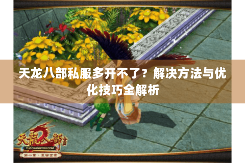 天龙八部私服多开不了?解决方法与优化技巧全解析 天龙八部私服多开不了?解决方法与优化技巧全解析