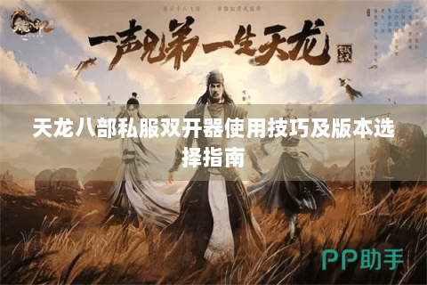 天龙八部私服双开器使用技巧及版本选择指南