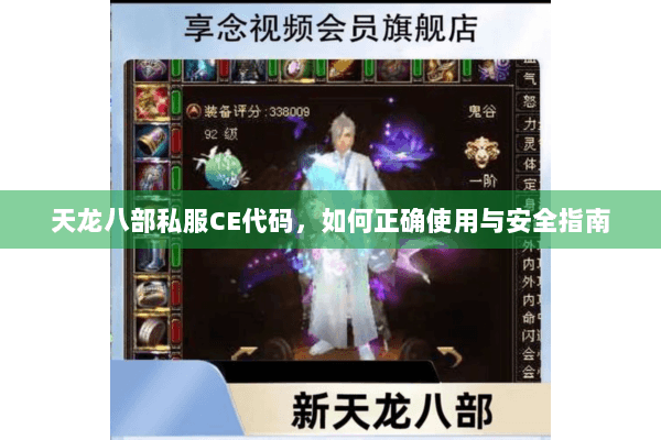 天龙八部私服CE代码，如何正确使用与安全指南