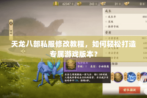 天龙八部私服修改教程，如何轻松打造专属游戏版本？