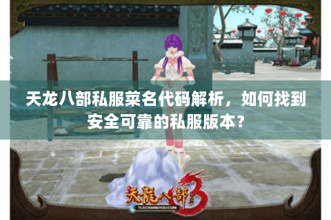 天龙八部私服菜名代码解析，如何找到安全可靠的私服版本？