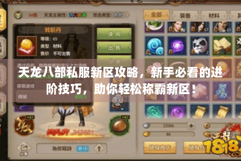天龙八部私服新区攻略,新手必看的进阶技巧,助你轻松称霸新区! 天龙八部私服新区攻略,新手必看的进阶技巧,助你轻松称霸新区!