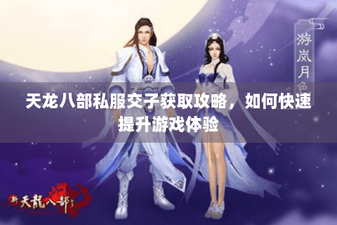 天龙八部私服交子获取攻略,如何快速提升游戏体验 天龙八部私服交子获取攻略,如何快速提升游戏体验
